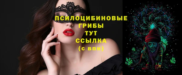 прущая мука Арсеньев