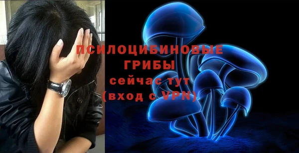 а пвп мука Аркадак