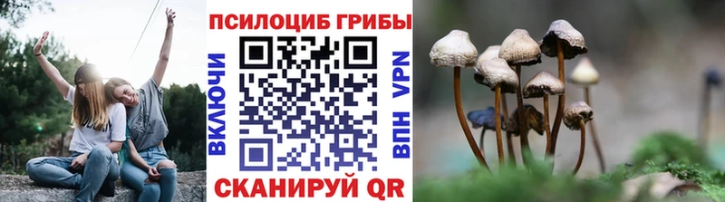blacksprut ссылка  Медногорск  Псилоцибиновые грибы мухоморы  даркнет сайт 